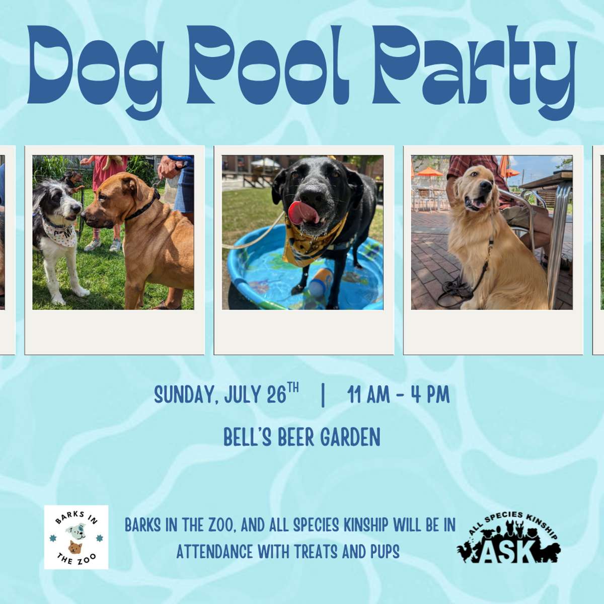 Dog Pool Party in the Beer Garden